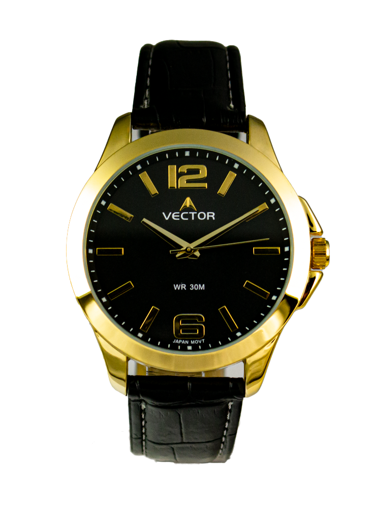 картинка Часы VECTOR V8-001583 черный от магазина ЧАСПРОМ